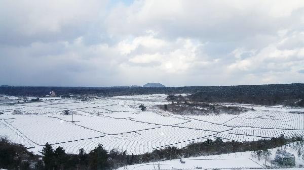 博物馆下雪了!