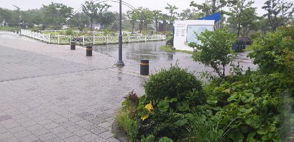 2019년 7월 10일 오늘의 현장스캐치~