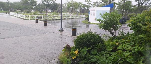 2019년 7월 10일 오늘의 현장스캐치~