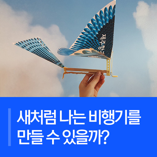 새처럼 나는 비행기를 만들 수 있을까?