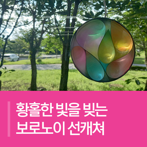 황홀한 빛을 빚는 보로노이 선캐쳐