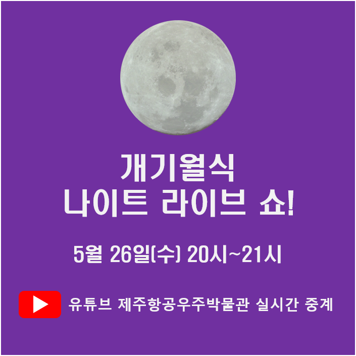 나이트+라이브+쇼+이미지.png